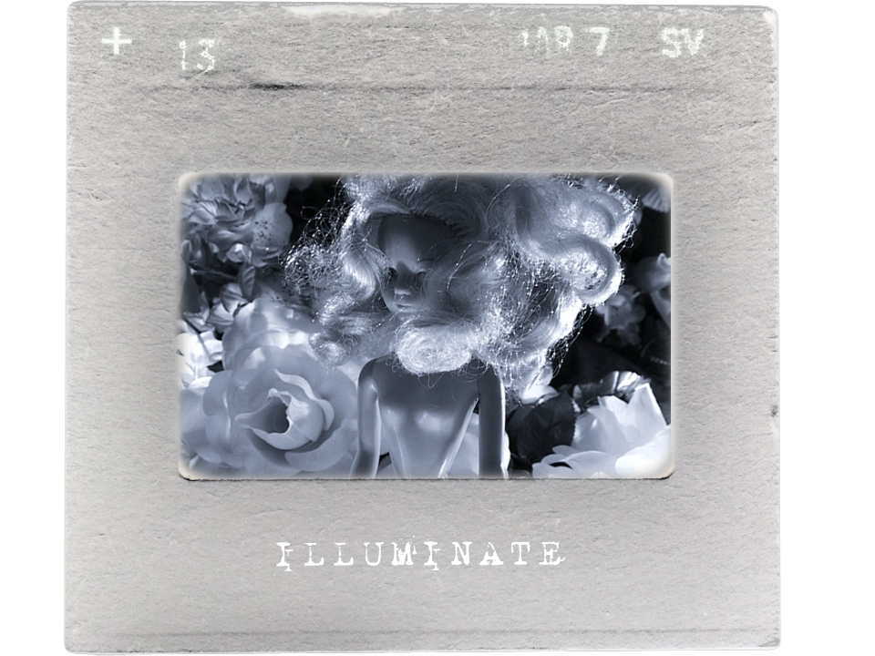 illuminate 23